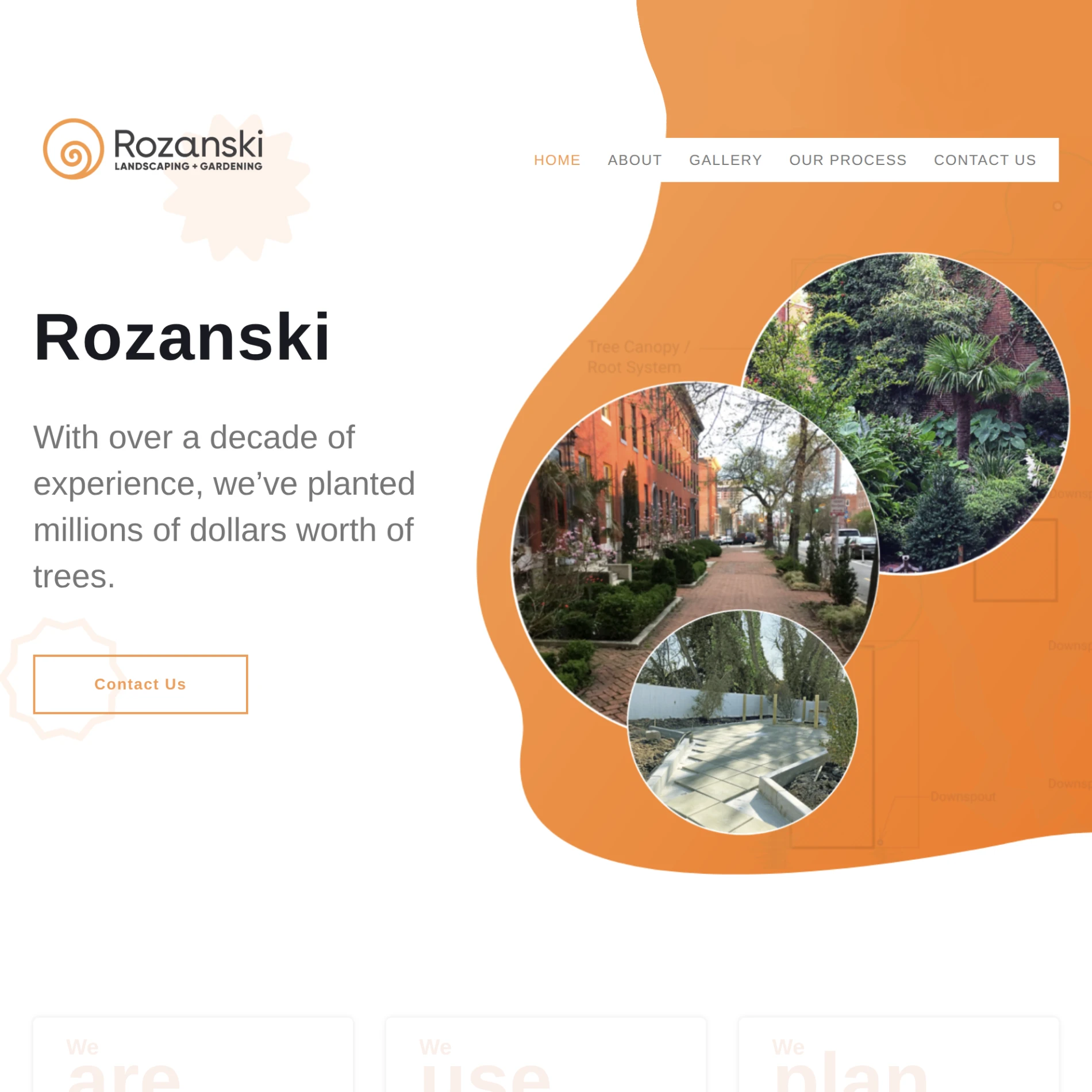 Studio Rozanski